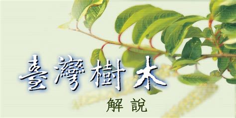 觀賞樹木|臺灣樹木 解說